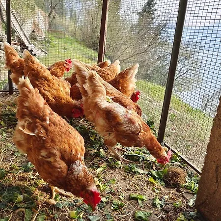 Casa Caravino * Βαρένα