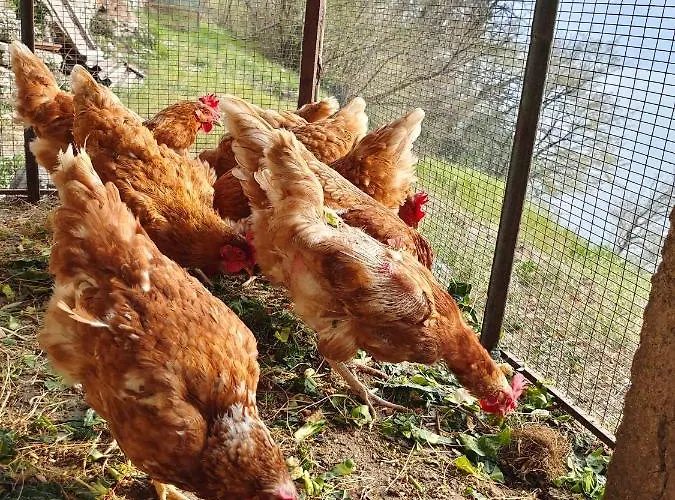 Casa Caravino * Varenna